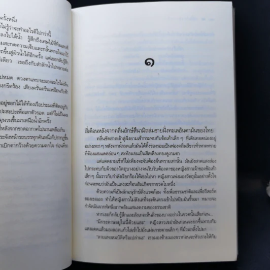 คลื่นร้างพรางรัก - ซ่อนกลิ่น รูปที่ 10