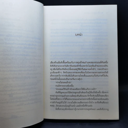 เลื่อมมุกลายมังกร - ลีฬวรา รูปที่ 9