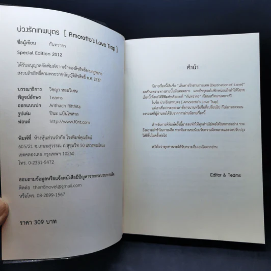 บ่วงรักเทพบุตร - กันทรากร รูปที่ 8