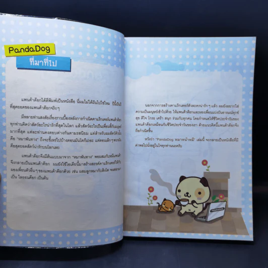 PandaDog หมาหน้าหมี รูปที่ 8