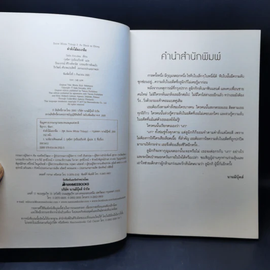 ดำดิ่งไม้มะเกลือ - Salla Simukka (ซัลลา ซิมุกกา) รูปที่ 8