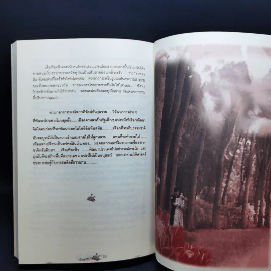 เมืองดาหลา - นายพันดี รูปที่ 11