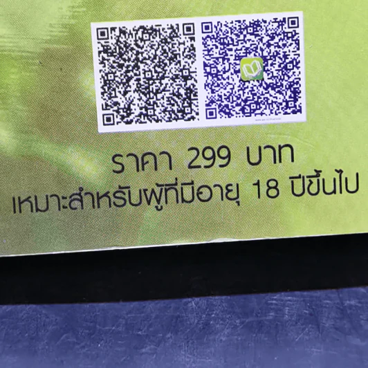 นิยายรักข้ามกาลเวลา ชุด เจ้าสาวห้าแผ่นดิน เจ้าสาวสยาม - ซินเหมย รูปที่ 11