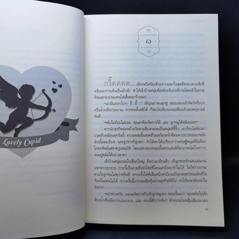 ลุ้นรักกามเทพ - กรกนก รูปที่ 9
