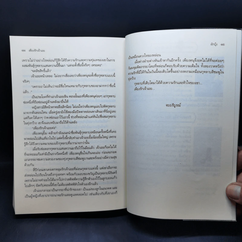 เพียงรักเจ้าเอย - ผักบุ้ง รูปที่ 10