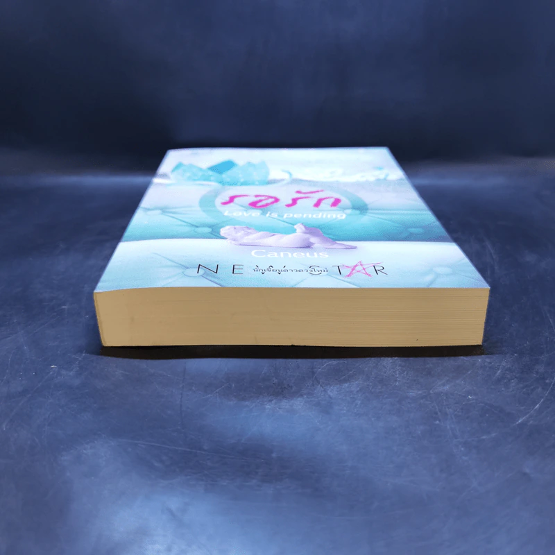 รอรัก Love is Pending - Caneus รูปที่ 4