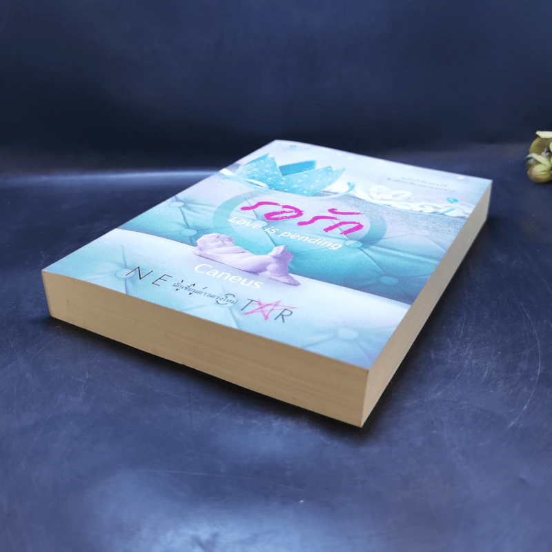 รอรัก Love is Pending - Caneus รูปที่ 7