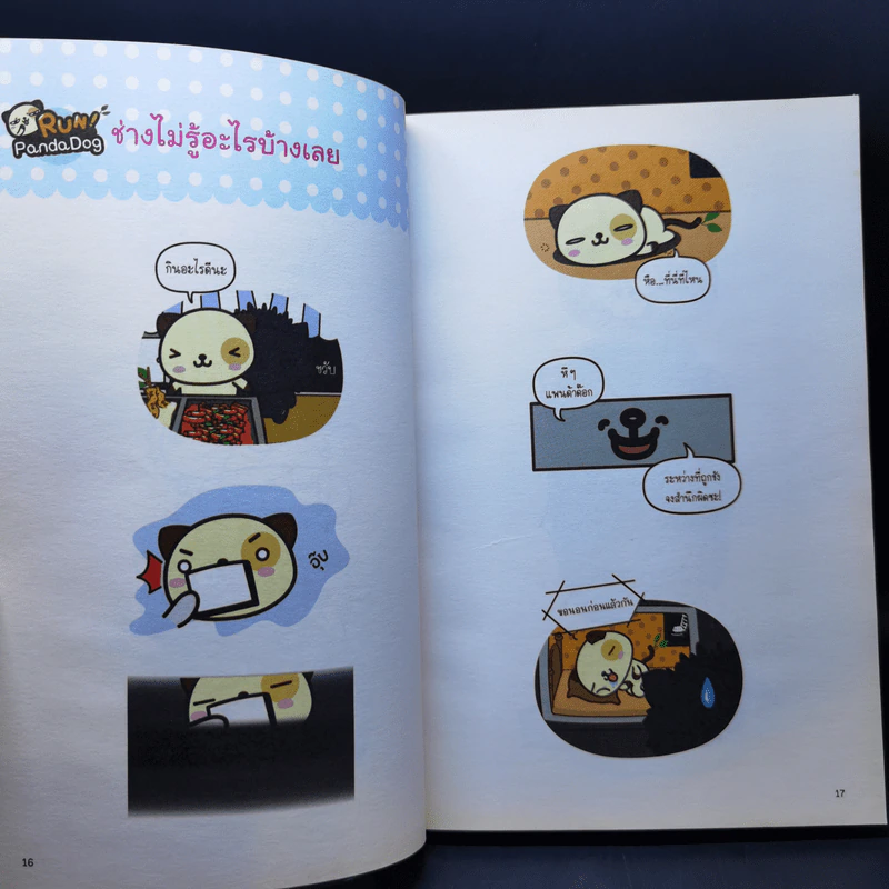 PandaDog หมาหน้าหมี รูปที่ 13