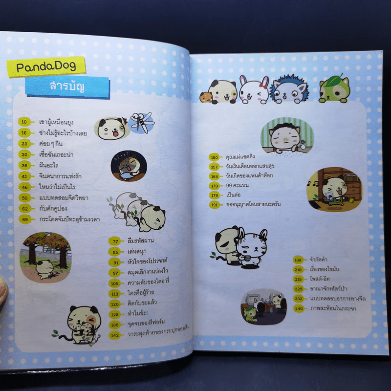 PandaDog หมาหน้าหมี รูปที่ 10