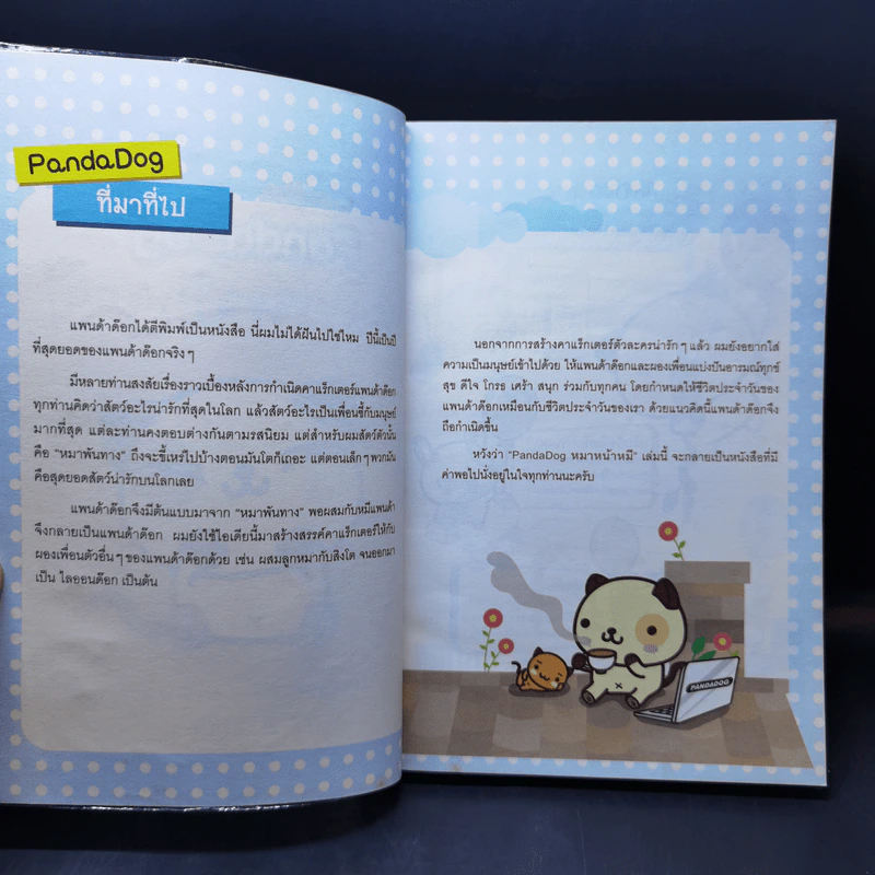 PandaDog หมาหน้าหมี รูปที่ 8