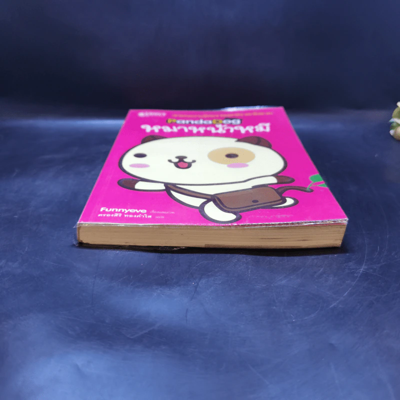 PandaDog หมาหน้าหมี รูปที่ 4