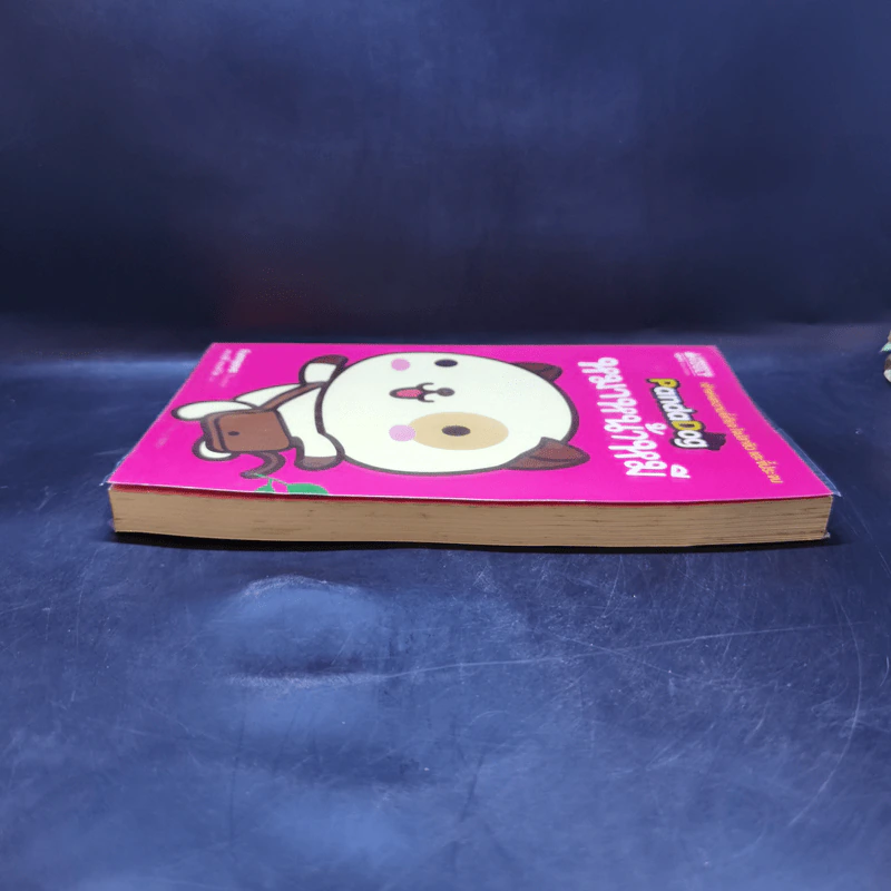 PandaDog หมาหน้าหมี รูปที่ 5
