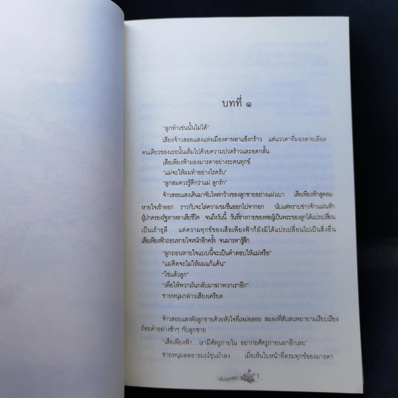 เมืองดาหลา - นายพันดี รูปที่ 10