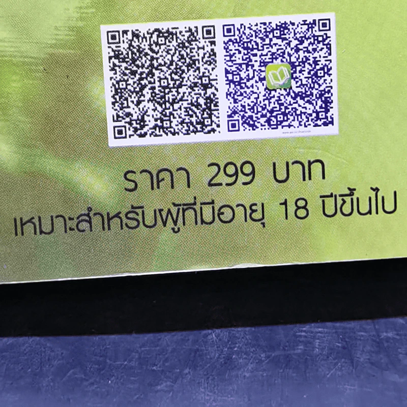 นิยายรักข้ามกาลเวลา ชุด เจ้าสาวห้าแผ่นดิน เจ้าสาวสยาม - ซินเหมย รูปที่ 11