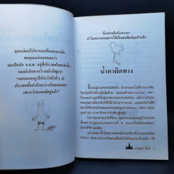 🔴เมืองไทยในสายตาผม - แอนดรูว์ บิ๊กส์ รูปที่ 10