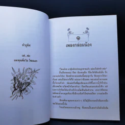 ไหมน้อย - โชติ ศรีสุวรรณ รูปที่ 10