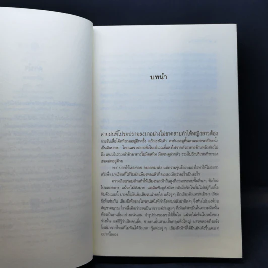 ดาวเหนือ - กุลธิดา รูปที่ 10