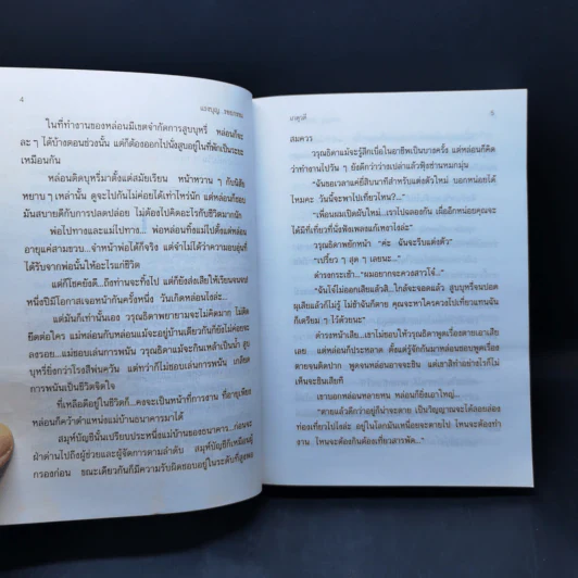 แรงบุญ รอยกรรม - เกตุวดี รูปที่ 10