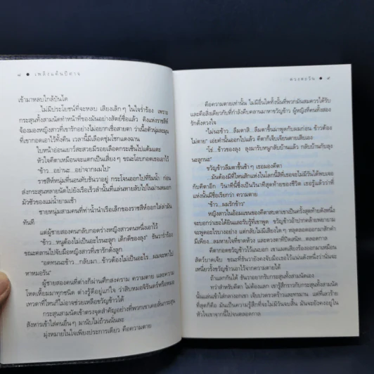 เพลินแค้นปีศาจ - ดวงตะวัน รูปที่ 10