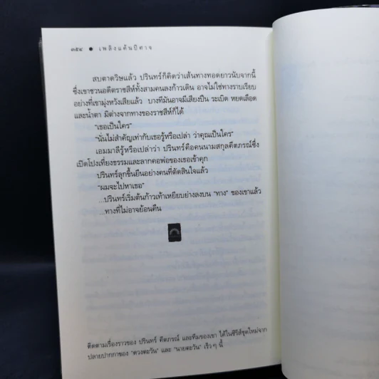 เพลินแค้นปีศาจ - ดวงตะวัน รูปที่ 11