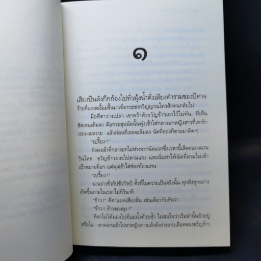 เพลินแค้นปีศาจ - ดวงตะวัน รูปที่ 9