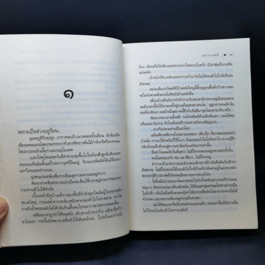 เงาเสน่หา - นราเกตต์ รูปที่ 11