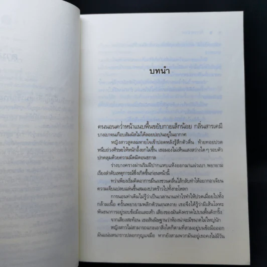 เงาเสน่หา - นราเกตต์ รูปที่ 10