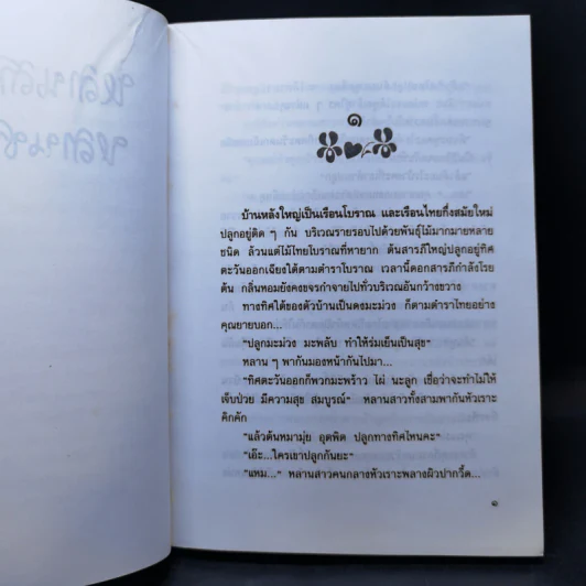 หลานสาวคุณยาย หลานชายคุณย่า - สีสวลี รูปที่ 10
