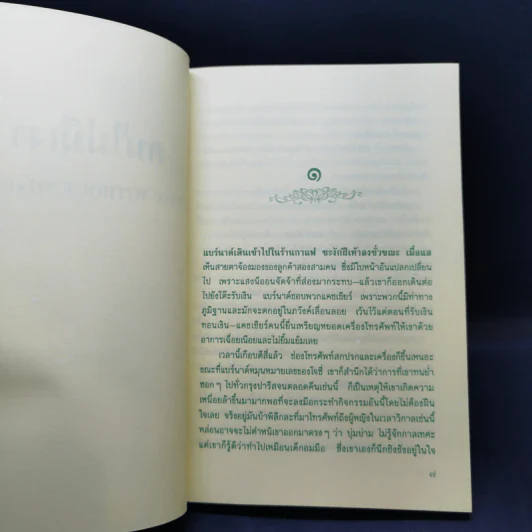 คนไม่มีเงา - ฟรองซัวส์ ซาก็อง รูปที่ 9