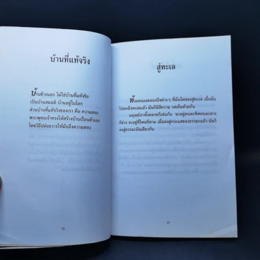 เหมือนกับใจคล้ายกับจิต - หลวงพ่อชา สุภัทโท (พระโพธิญาณเถร) รูปที่ 11