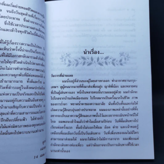 ปีกฝันเปลี่ยนฟ้า - เฉกชนม์ รูปที่ 10