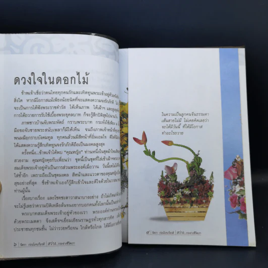 สว่างกระจ่างชีวิตเรา - จิตรา ก่อนันทเกียรติ รูปที่ 11
