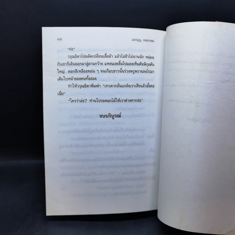 แรงบุญ รอยกรรม - เกตุวดี รูปที่ 11