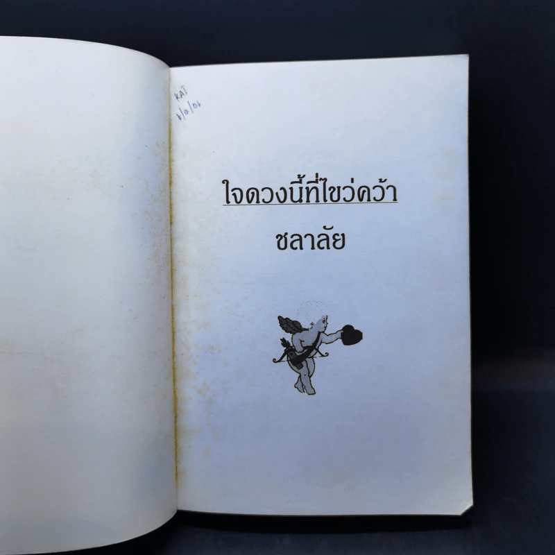 ใจดวงนี้ที่ไขว่คว้า - ชลาลัย รูปที่ 8