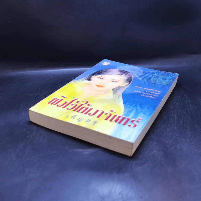 ฝังไว้ใต้เงาจันทร์ - เพ็ญศิริ รูปที่ 7