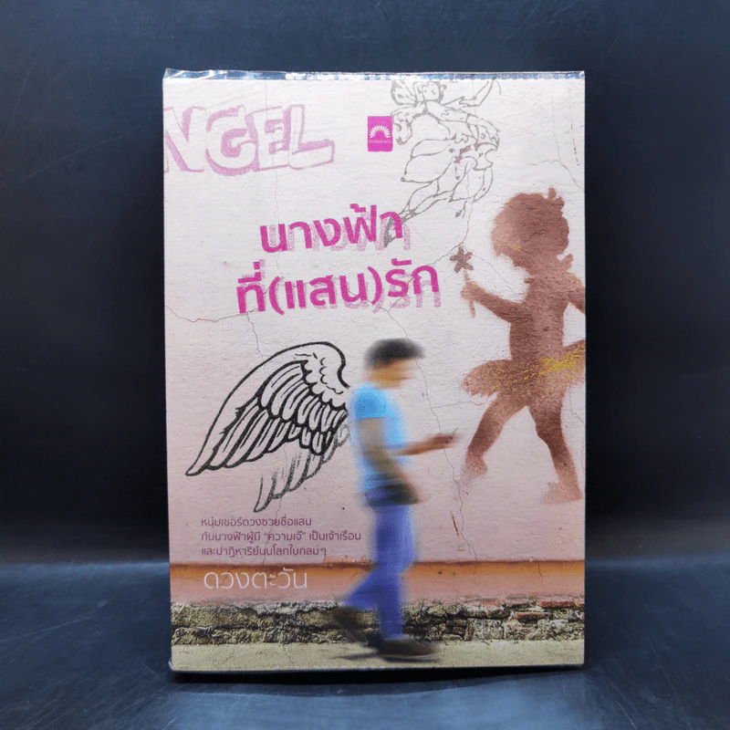 นางฟ้าที่ (แสน) รัก - ดวงตะวัน รูปที่ 1
