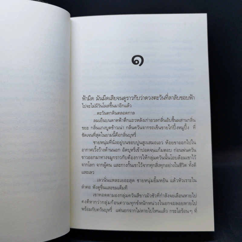 นางฟ้าที่ (แสน) รัก - ดวงตะวัน รูปที่ 9