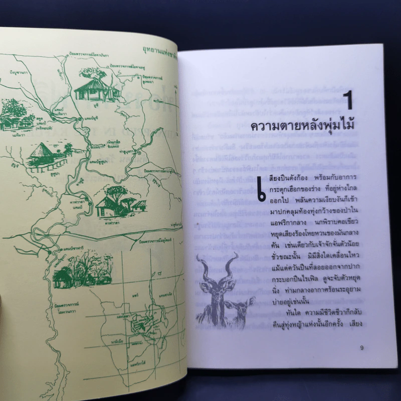 ท่องป่าคาฟูอี - ดันแคน วัตต์ รูปที่ 11