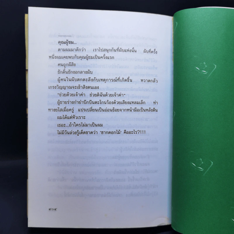 ซากดอกไม้ - วีรวัฒน์ กนกนุเคราะห์ รูปที่ 10