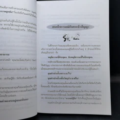 คัมภีร์แห่งอัจฉริยะ - ปริญญา ตันสกุล รูปที่ 11
