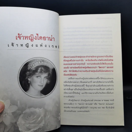 ไดอาน่า สตอรี่ Diana's Story รูปที่ 10