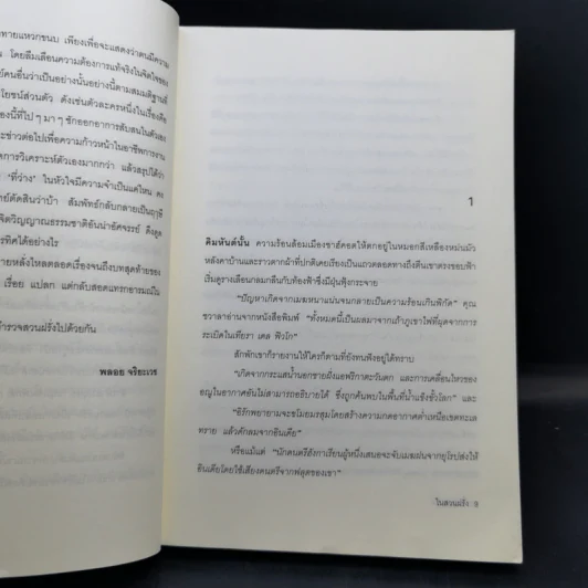 ในสวนฝรั่ง - กิราน เดซาย รูปที่ 9
