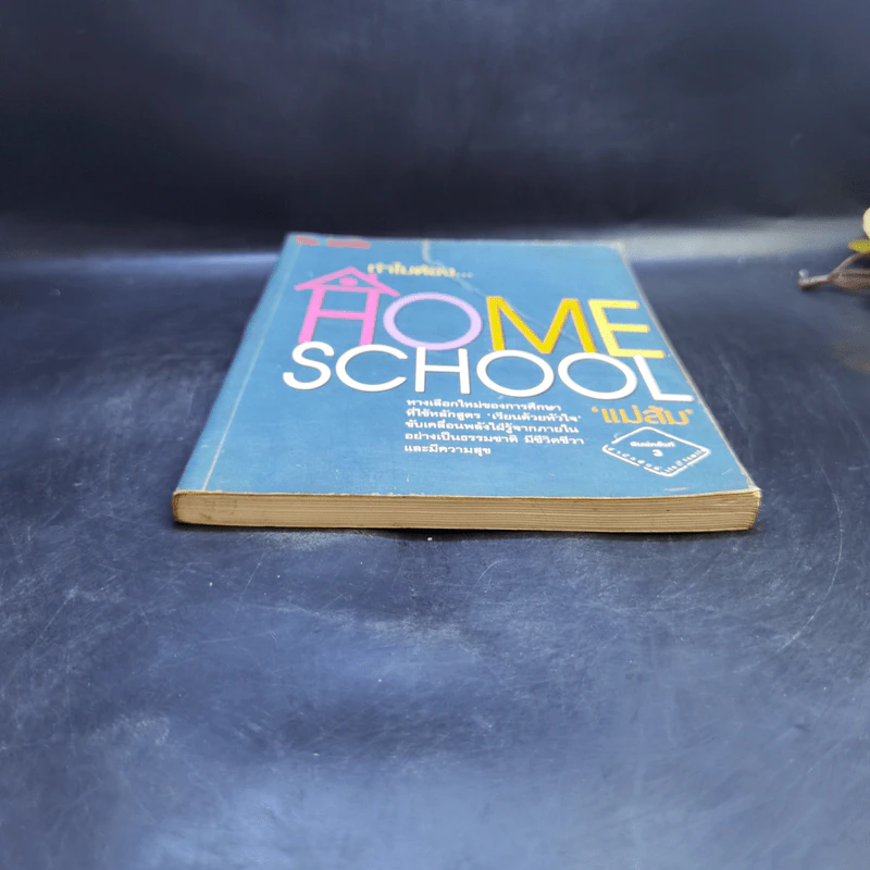 ทำไมต้อง Home School - แม่ส้ม รูปที่ 4