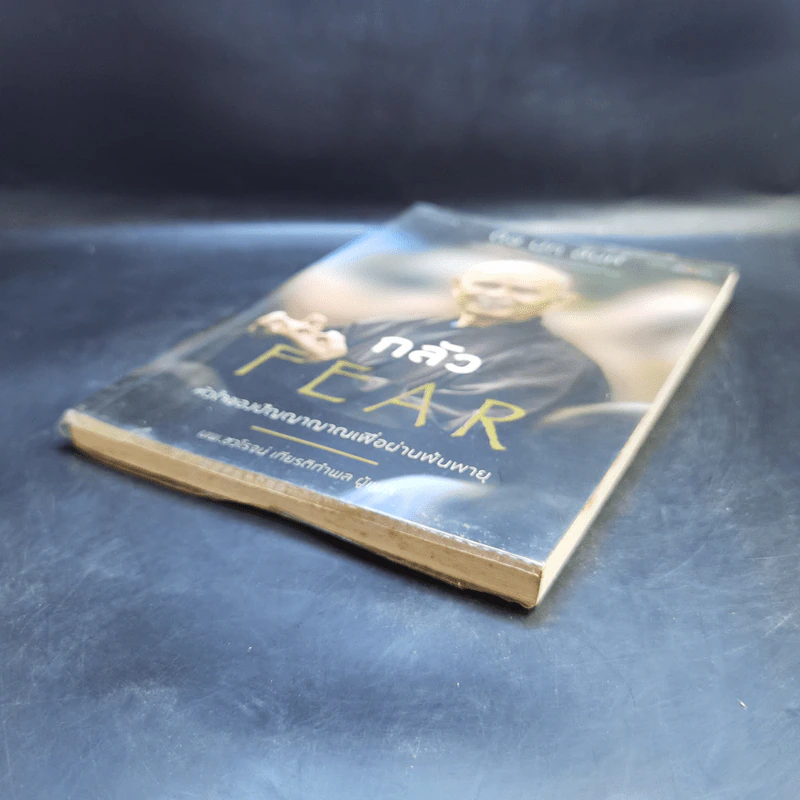 กลัว Fear - ติช นัท ฮันห์ รูปที่ 7