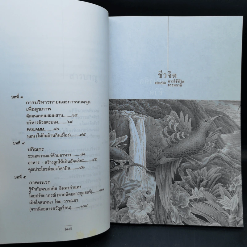 ชีวจิต - สาทิส อินทรกำแหง รูปที่ 11