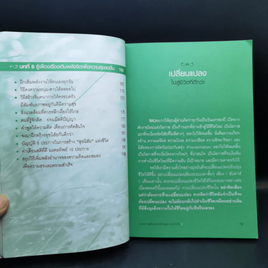 เผยความลับของพลังจิตสู่ความสำเร็จ - ดร.บุญเลิศ สายสนิท รูปที่ 13