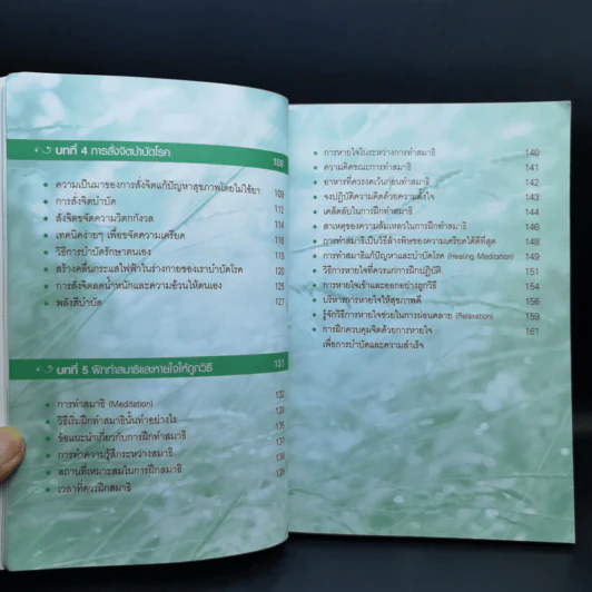 เผยความลับของพลังจิตสู่ความสำเร็จ - ดร.บุญเลิศ สายสนิท รูปที่ 12