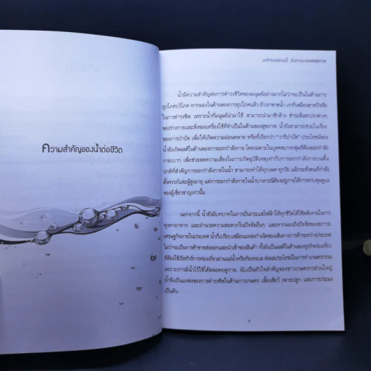 มหัศจรรย์แห่งน้ำ กับความงามและสุขภาพ - พัฒน์แก้ว รูปที่ 10