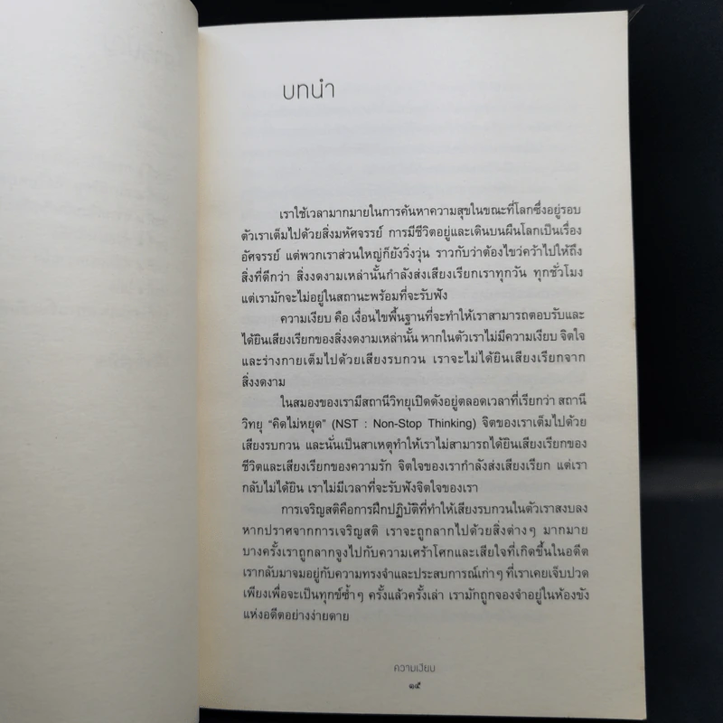 ความเงียบ Silence พลังแห่งความเงียบสงบ ในโลกที่เต็มไปด้วยเสียงรบกวน - ติช นัท ฮันห์ รูปที่ 11
