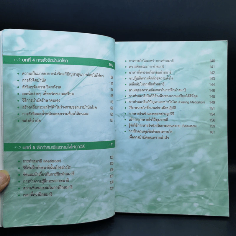 เผยความลับของพลังจิตสู่ความสำเร็จ - ดร.บุญเลิศ สายสนิท รูปที่ 12